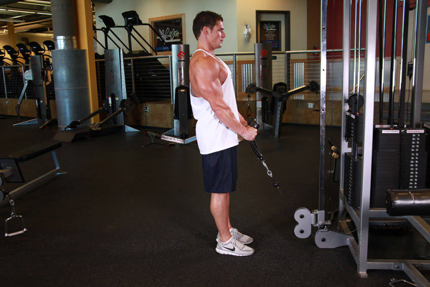 Cable Hammer Curls - Rope Attachment — başlangıç pozisyonu