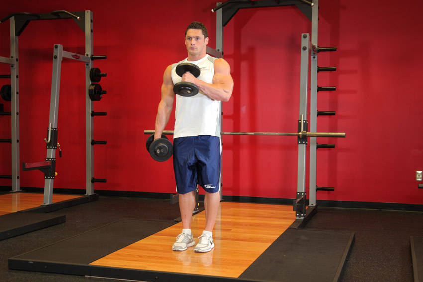 Cross Body Hammer Curl — bitiş pozisyonu
