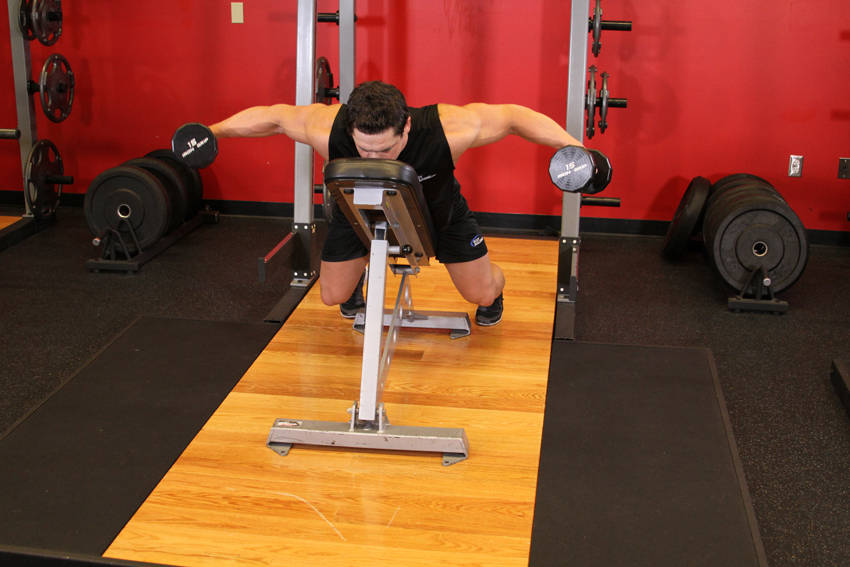 Dumbbell Lying Rear Lateral Raise — bitiş pozisyonu