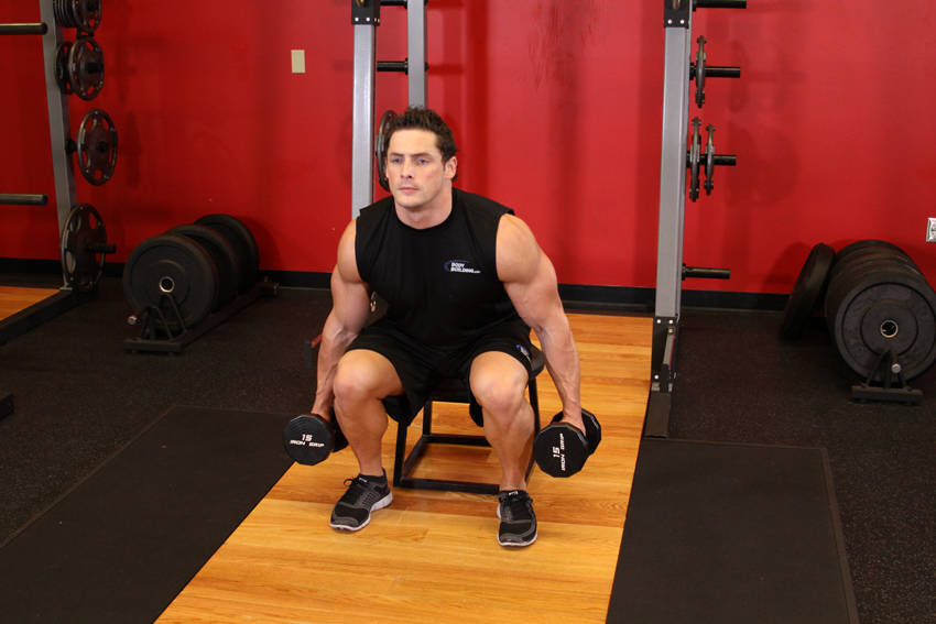 Dumbbell Squat To A Bench — bitiş pozisyonu