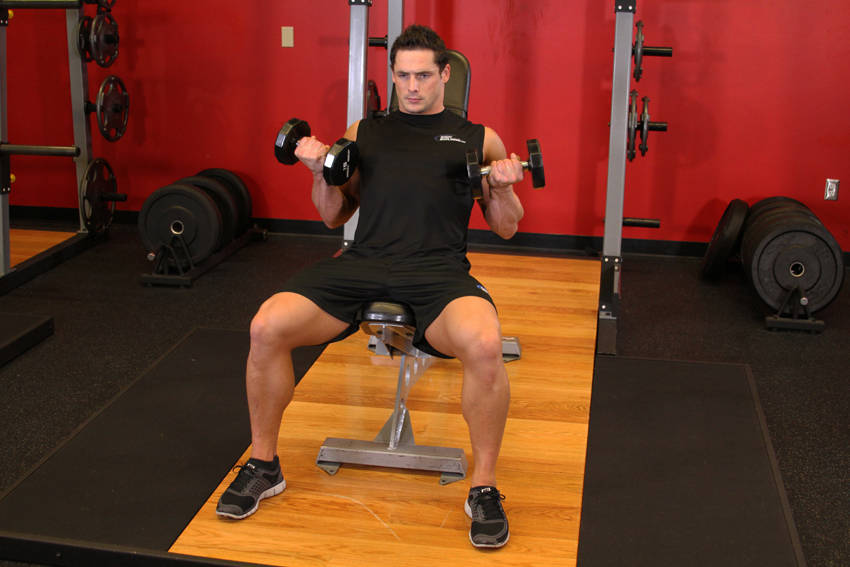 Flexor Incline Dumbbell Curls — bitiş pozisyonu