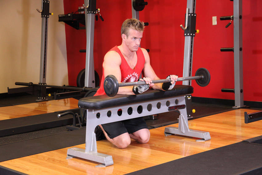 Palms-Down Wrist Curl Over A Bench — bitiş pozisyonu