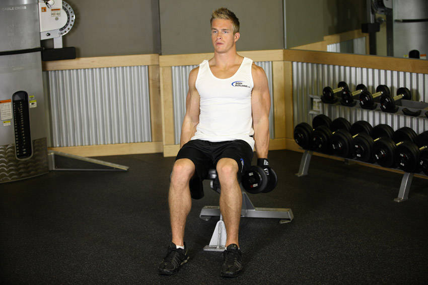Seated Dumbbell Inner Biceps Curl — başlangıç pozisyonu