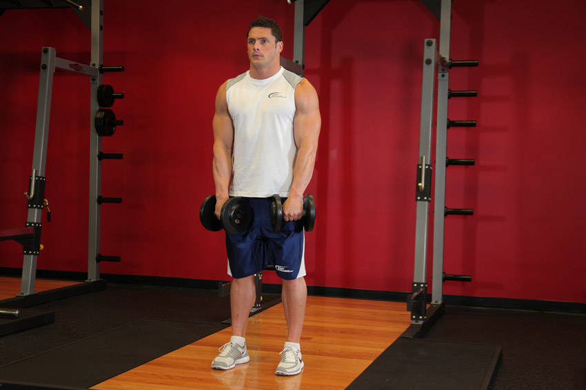 Standing Dumbbell Upright Row — bitiş pozisyonu