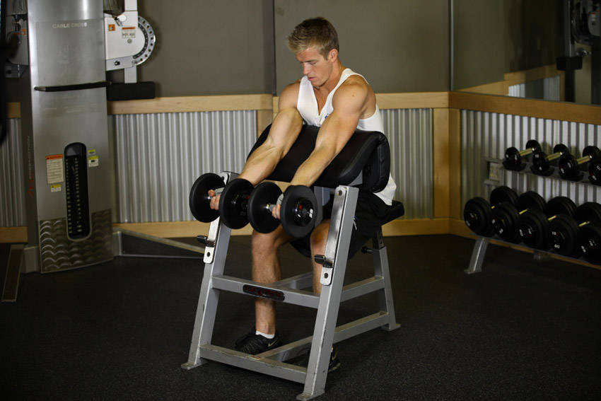 Two-Arm Dumbbell Preacher Curl — başlangıç pozisyonu