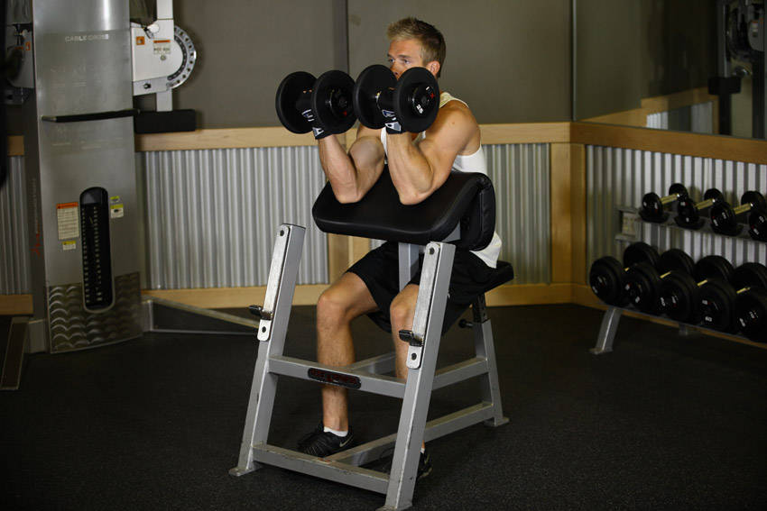 Two-Arm Dumbbell Preacher Curl — bitiş pozisyonu